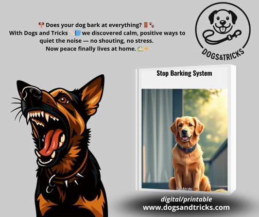 Stop barking system