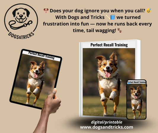 Perfect recall training