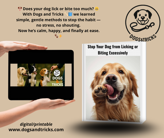 Stop your dog from licking or biting excessively