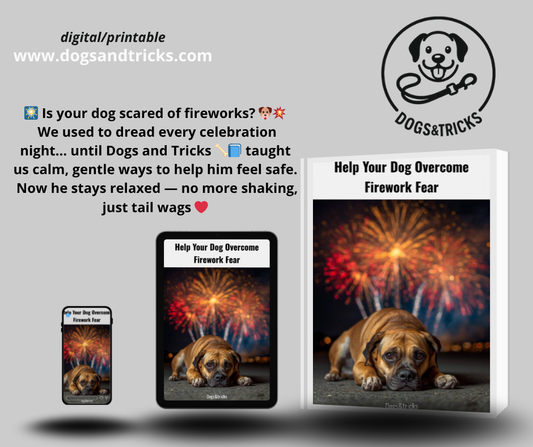 Help your dog overcome firework fear