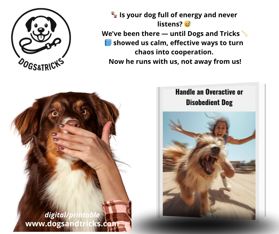 Handle an overactive or disobedient dog